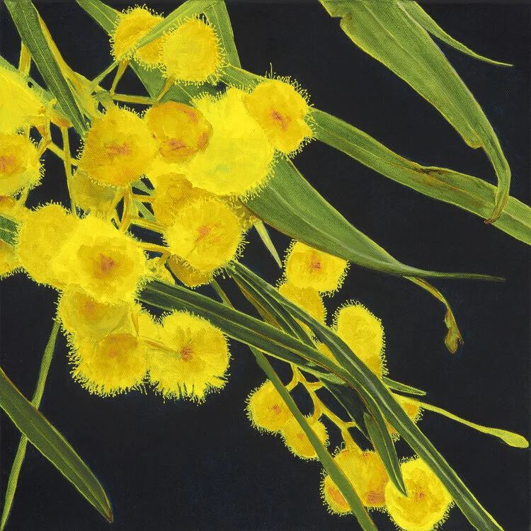 06B6F9AF-8355-4AED-8CBC-1A813418B37B