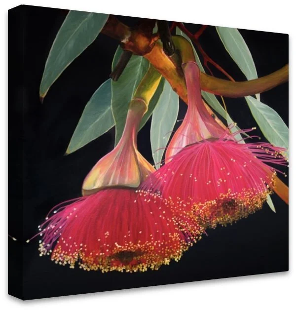 AED073D2-273F-4D5B-80DD-A6AFD06993C2