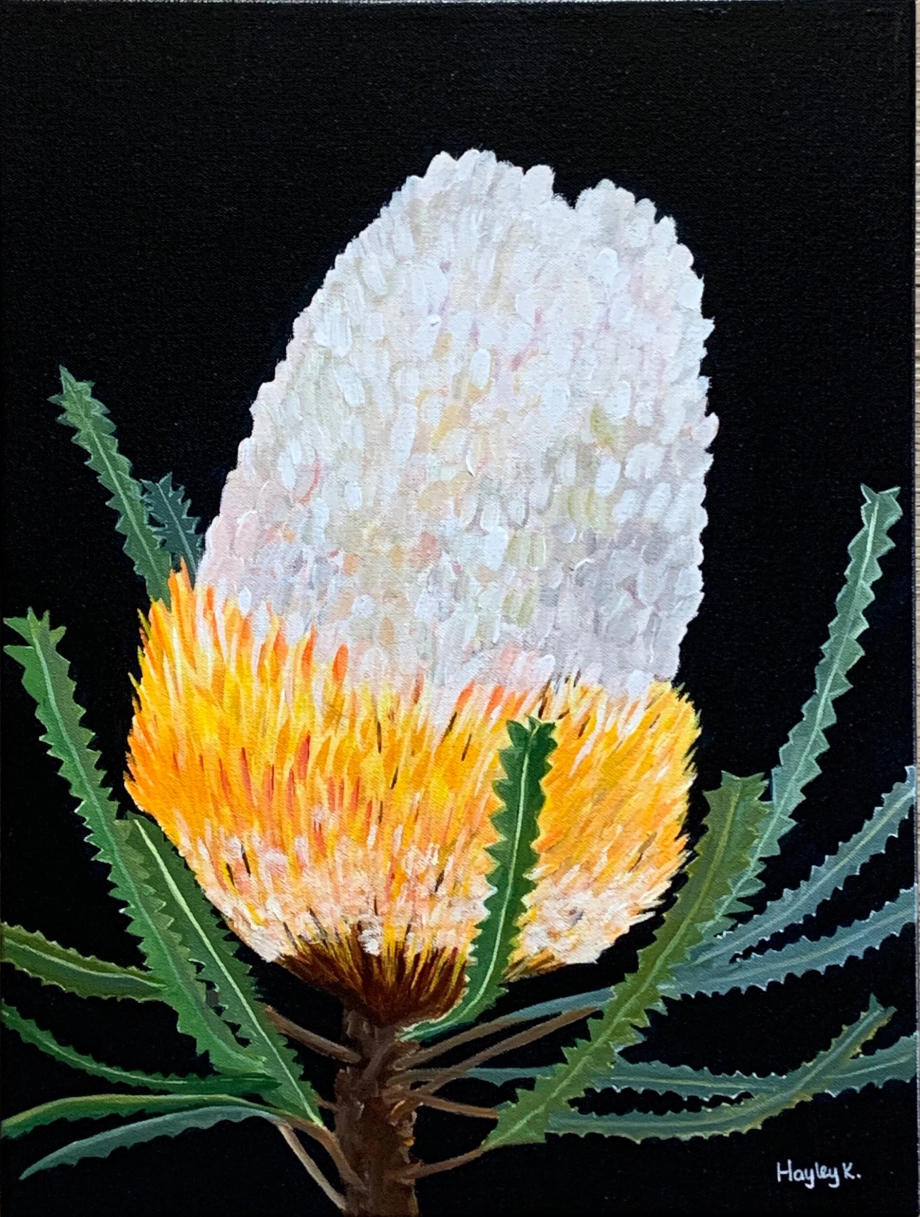 CB41DDB2-0E7F-4804-8E77-FD1B6F046747