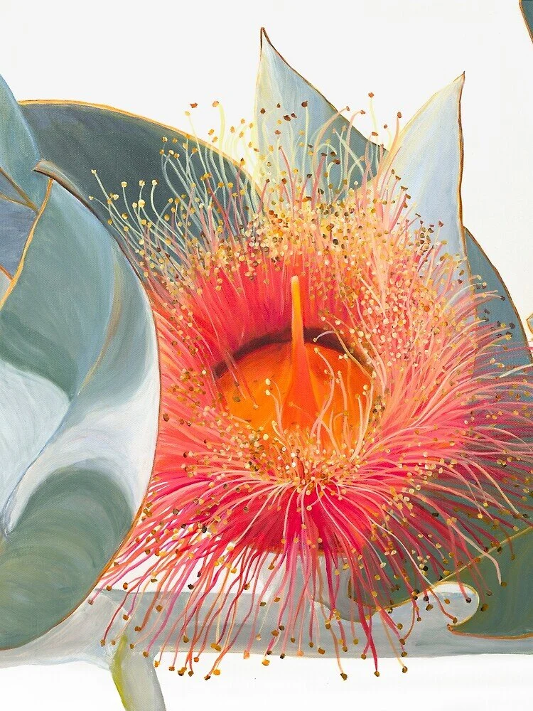 2FABA6B3-FCED-4127-8356-318C683AB68C