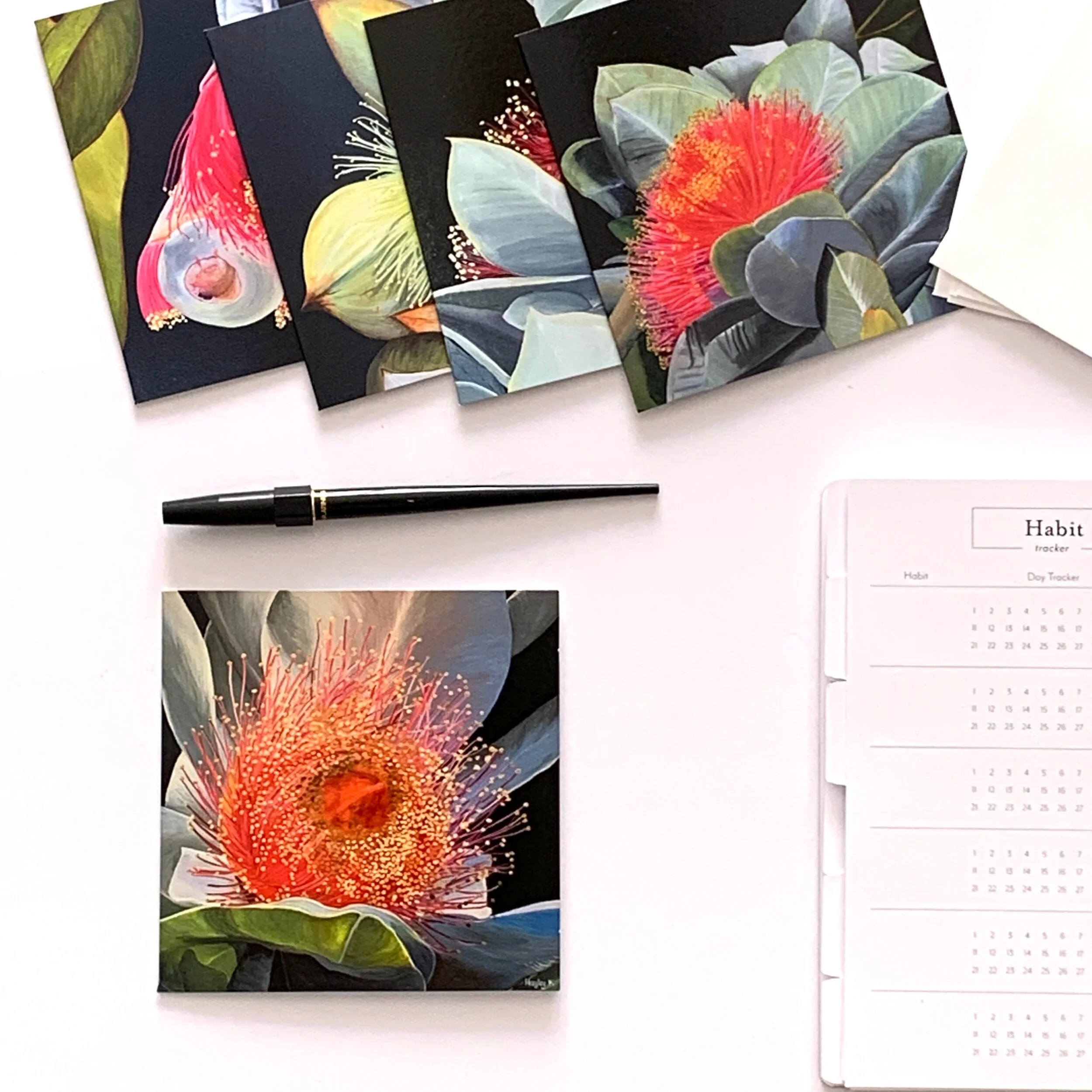 A1257F37-C490-4A0D-8C9B-F7C62F1CFB91