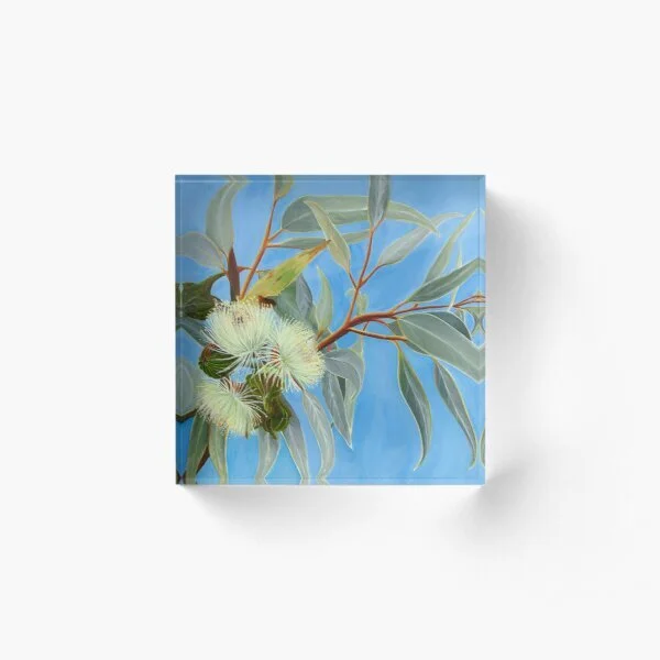 1CCFF8AB-EA34-4F2F-8AE4-65776C68C823