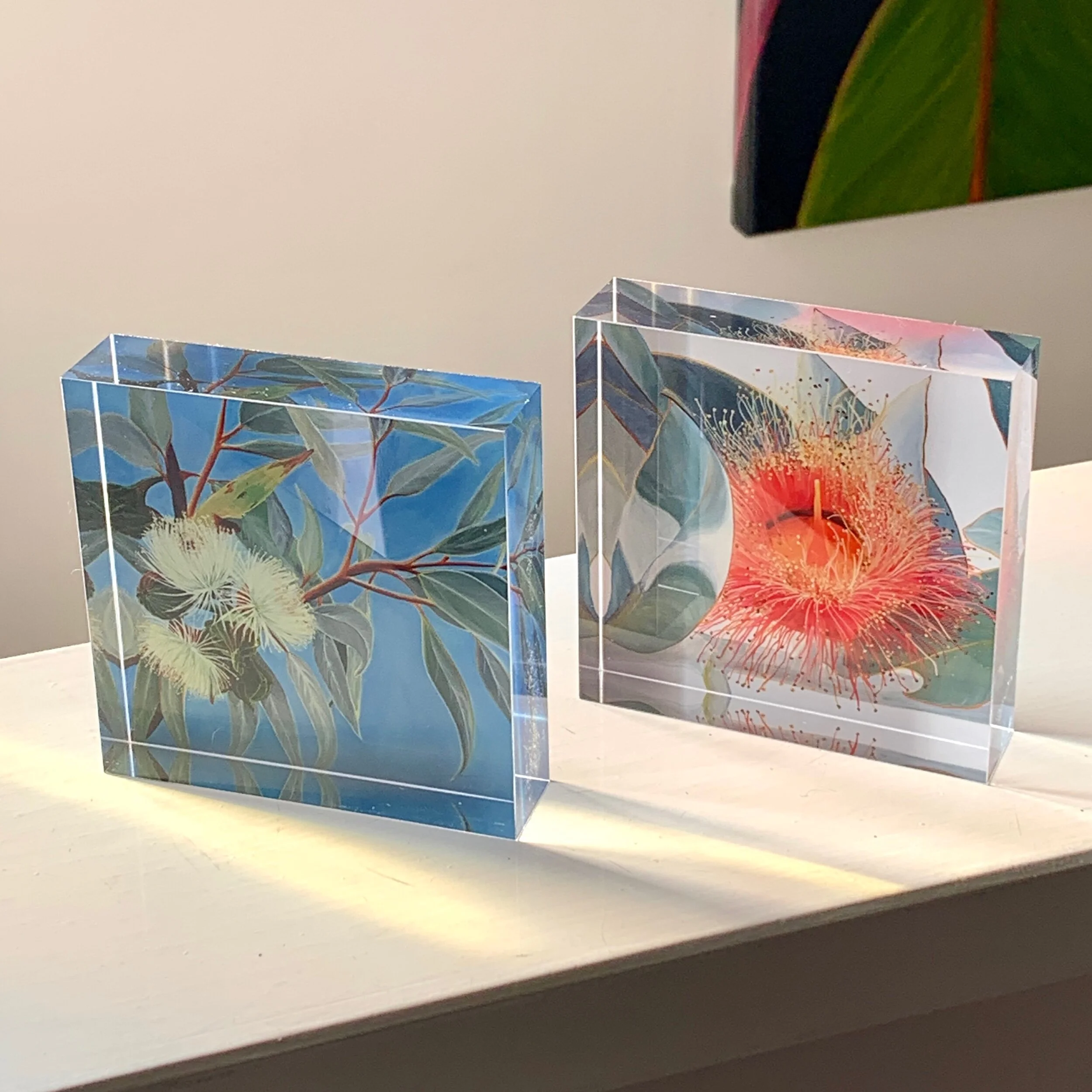 2E6B006D-A4EC-4C90-BECF-85F0C21479B5