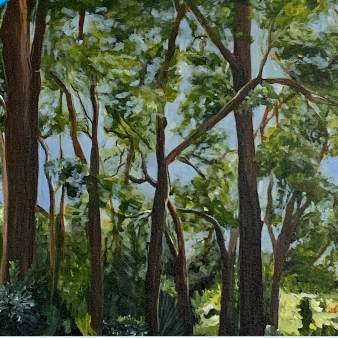 52BDD3D2-7B36-4AEE-9E13-AB9EE3CB497C