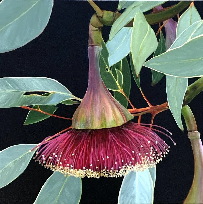 654E38AA-62E2-4BF2-8EEC-03DCF61A3205