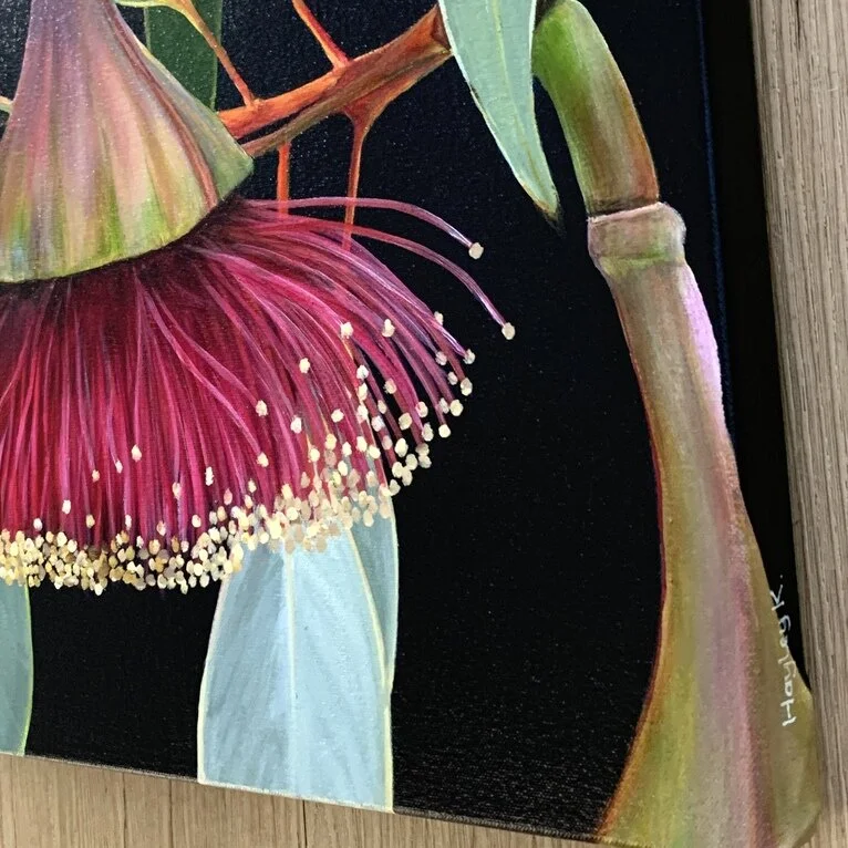 ABDB44B7-7E7D-4E7A-95B9-6C61F4B9F3B7