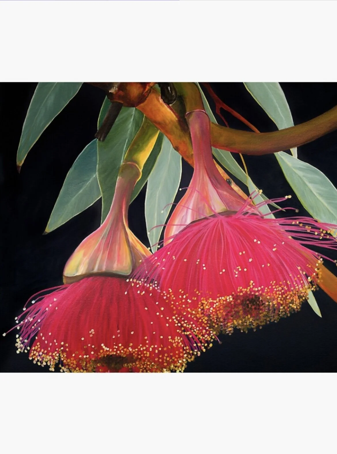 12ED329F-299A-476A-B078-368FA51B9C7A