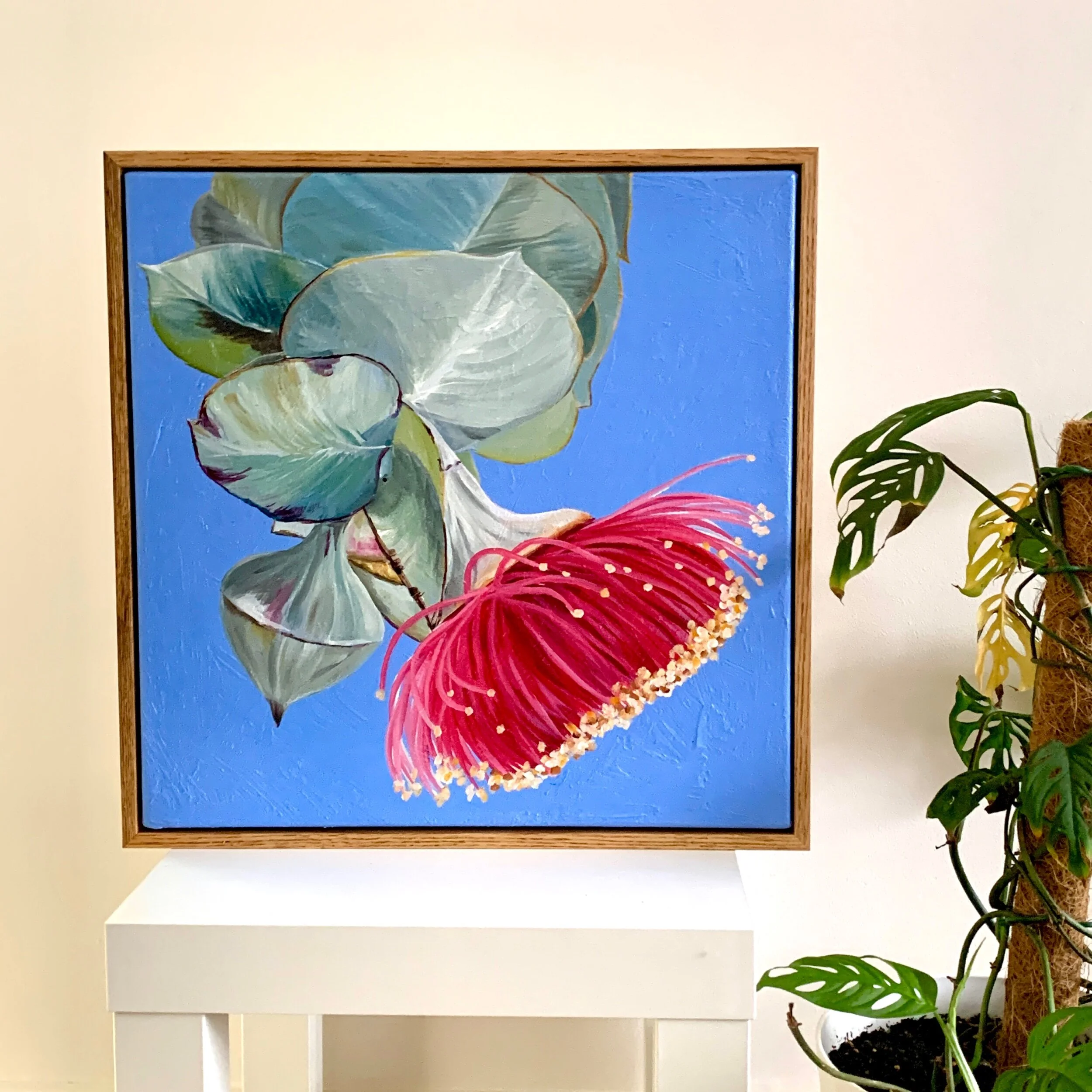 FB4D5FA9-C2C7-4D07-A880-B3E140239185