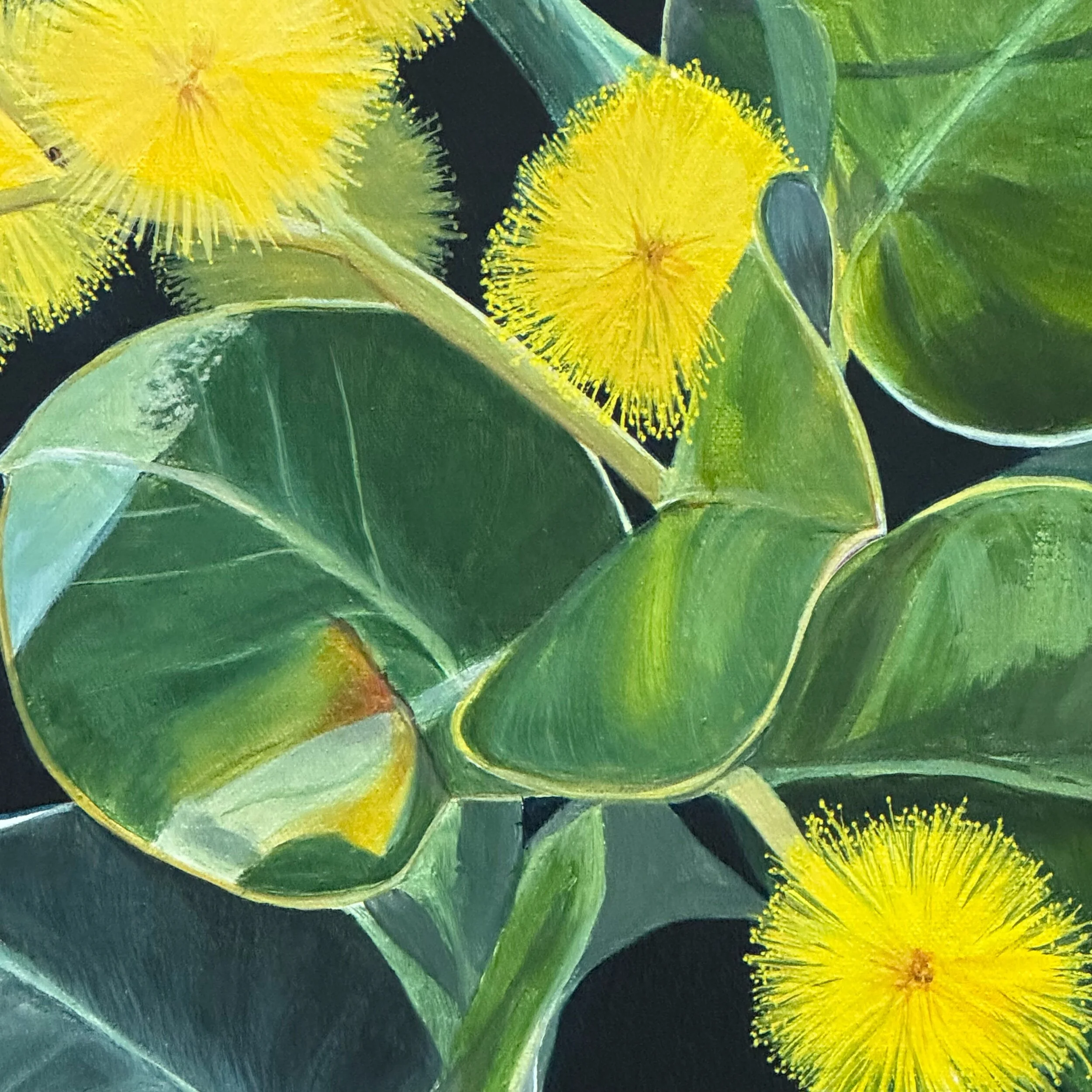 EC63F42E-5E57-41AE-A3D3-45E39E7AA3B0