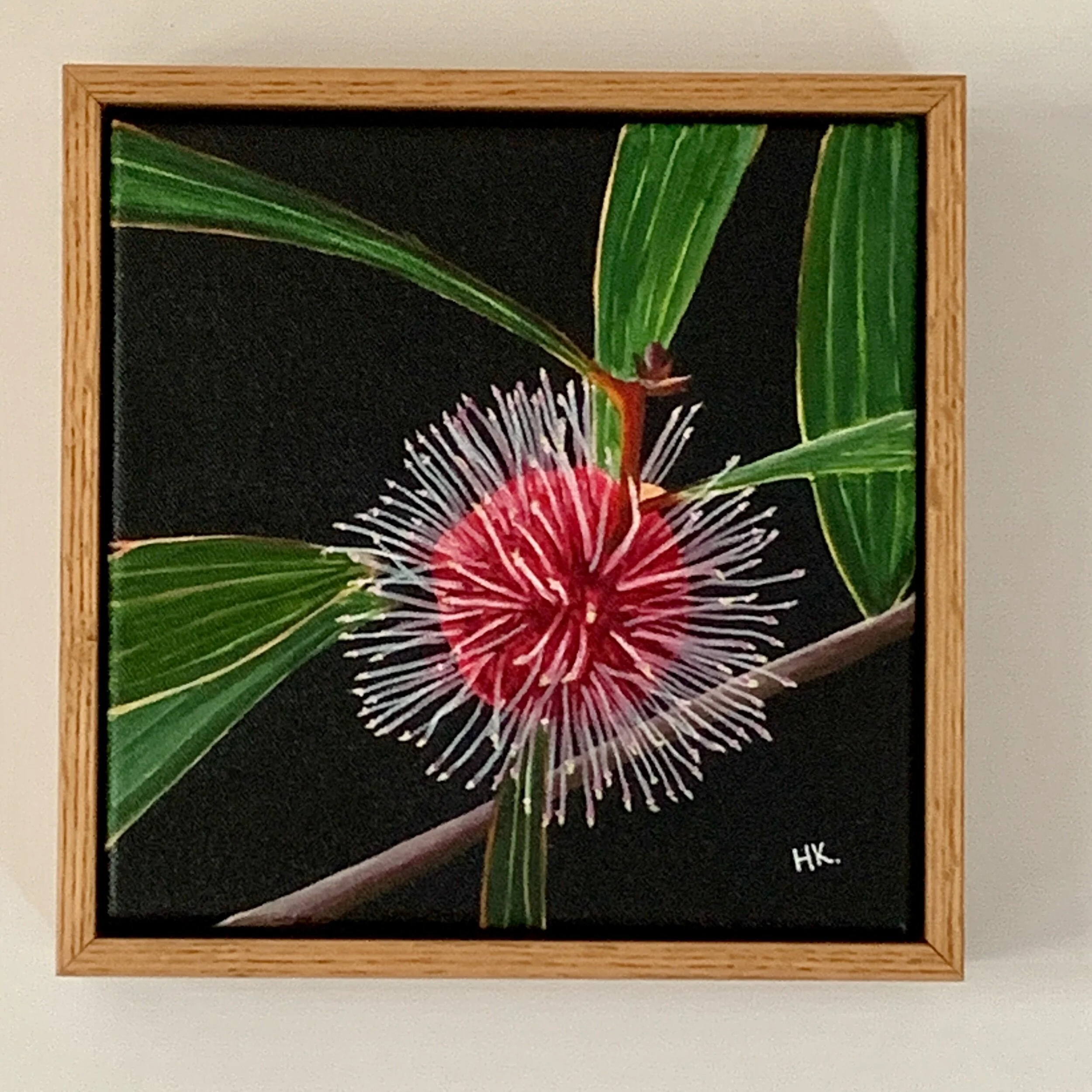 8D4CB6F4-EA9E-405E-8B6F-1ABA5796020D