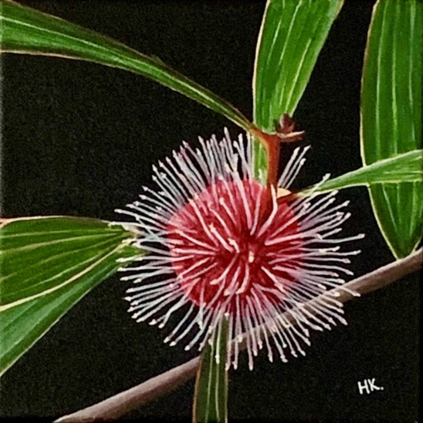 19D19E1C-232A-47B4-AC66-6DB894B324B2