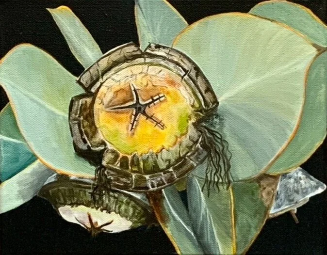 2E800DF8-AD2D-4FE1-ADF5-C152F747A596