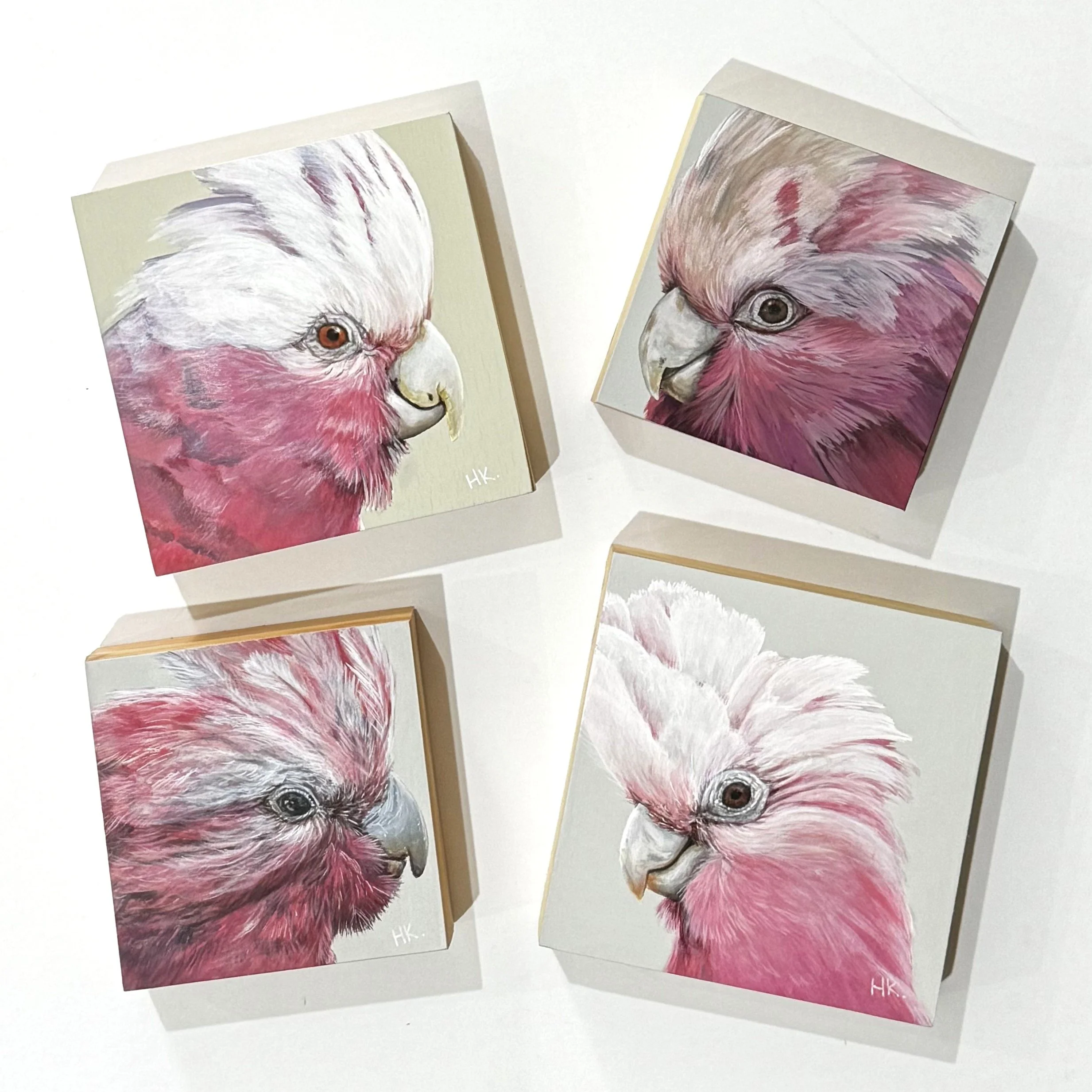 Council of Galahs.jpeg (Copy) (Copy)