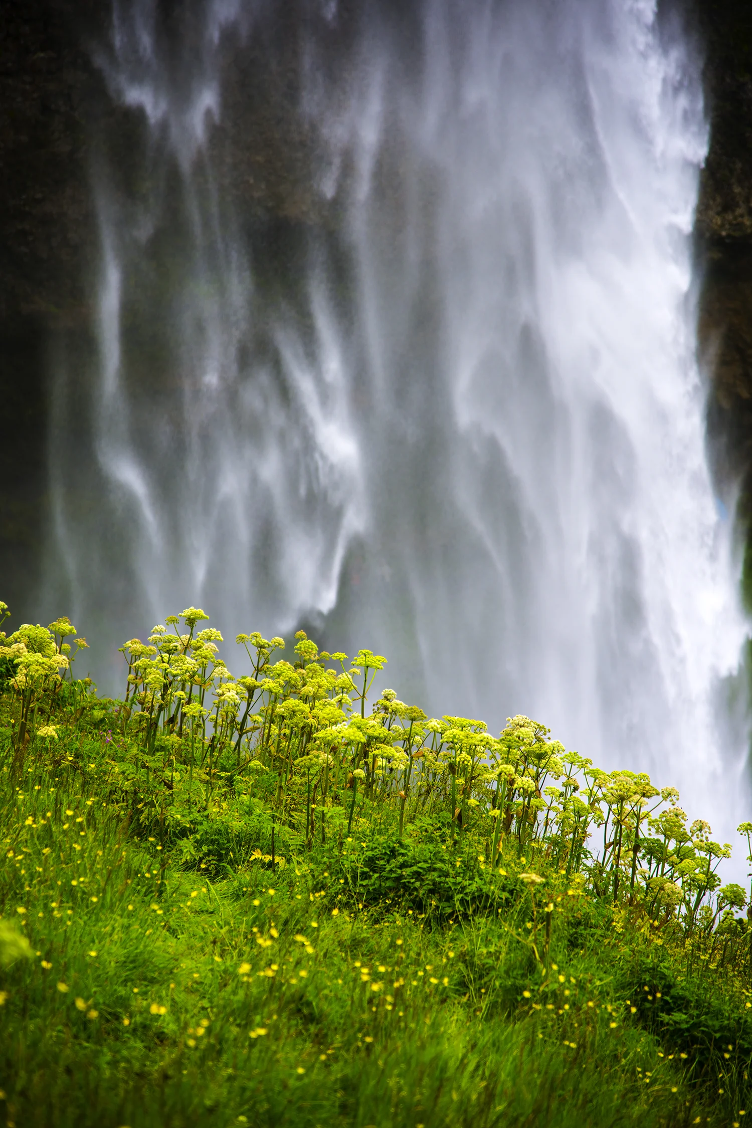_DSC4660 copy.jpg