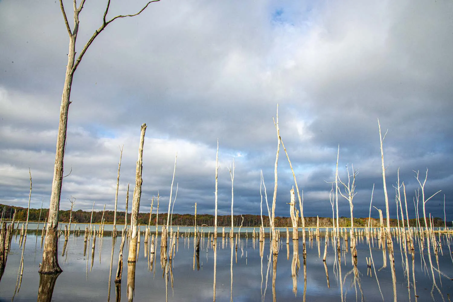 Manasquan Reservoir New Jersey