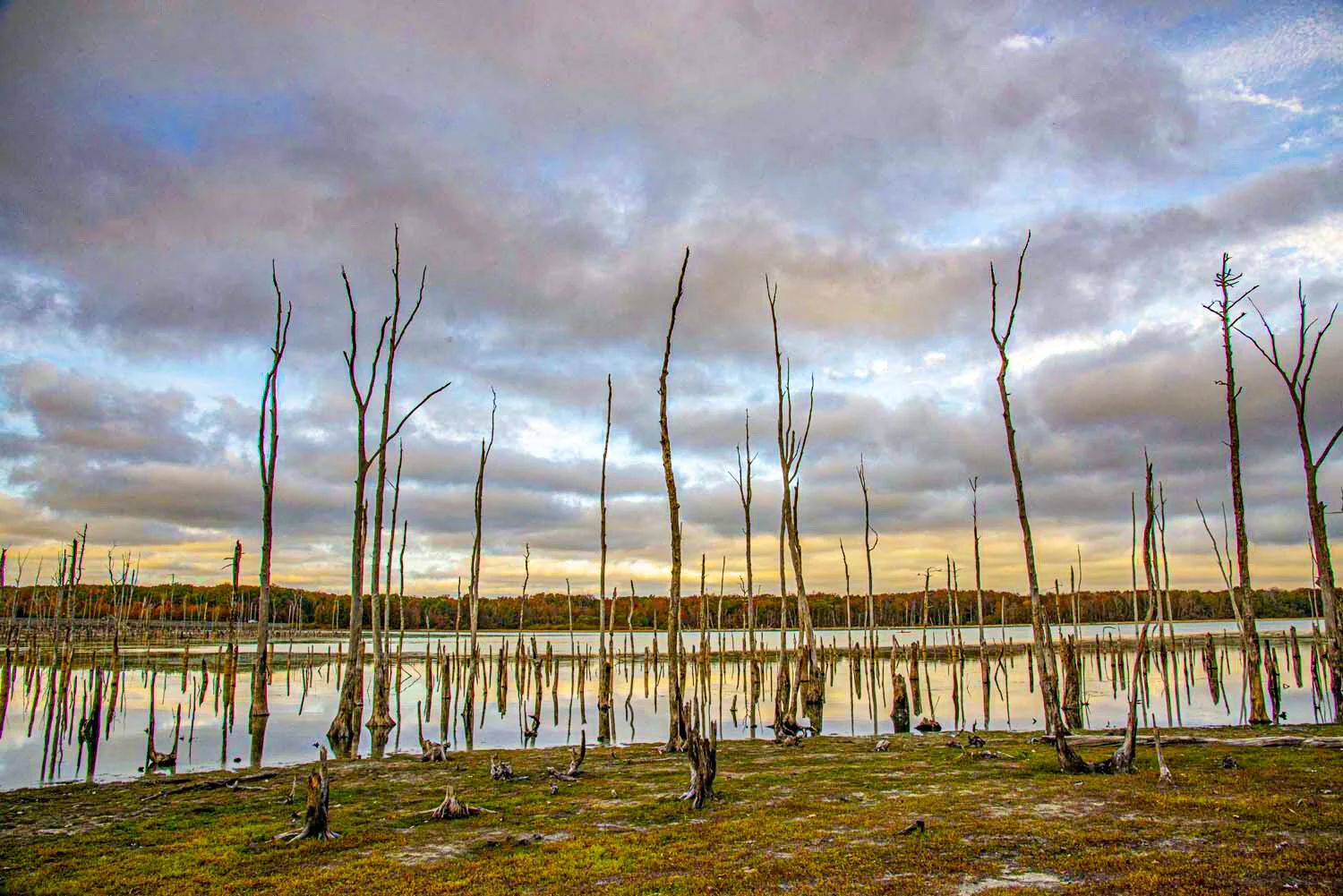 Manasquan Reservoir, New Jersey