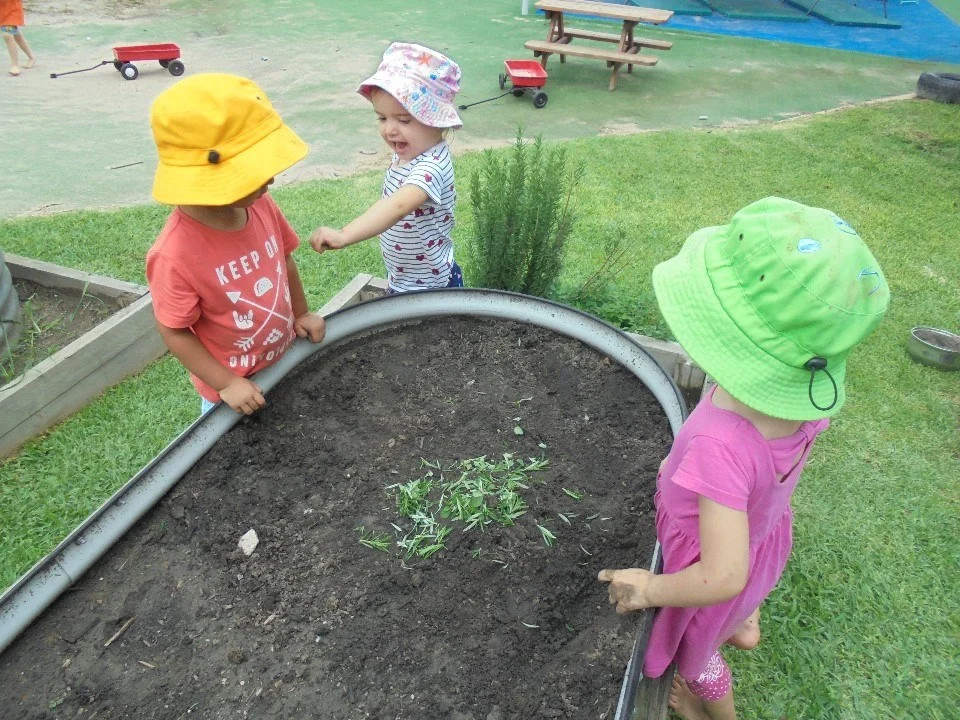 playing outside happy hearts petrie.jpg