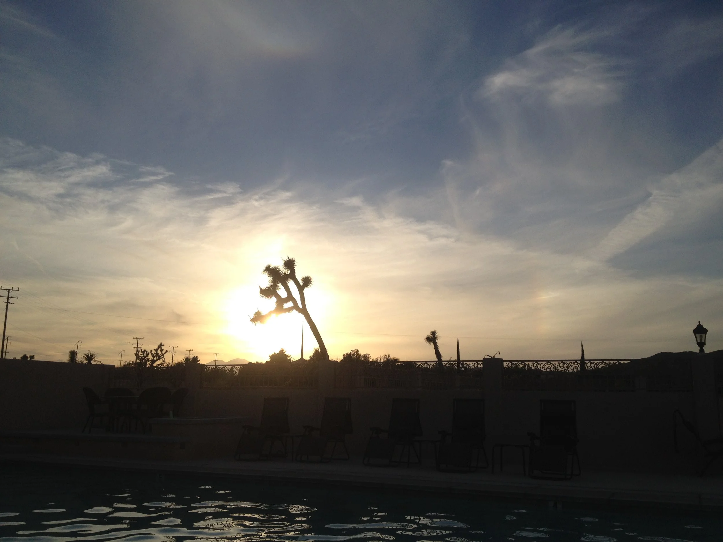 IMG_7496.jpeg
