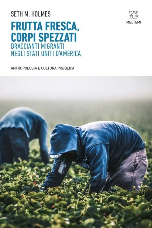 Fresh Fruit, Broken Bodies — Seth M. Holmes