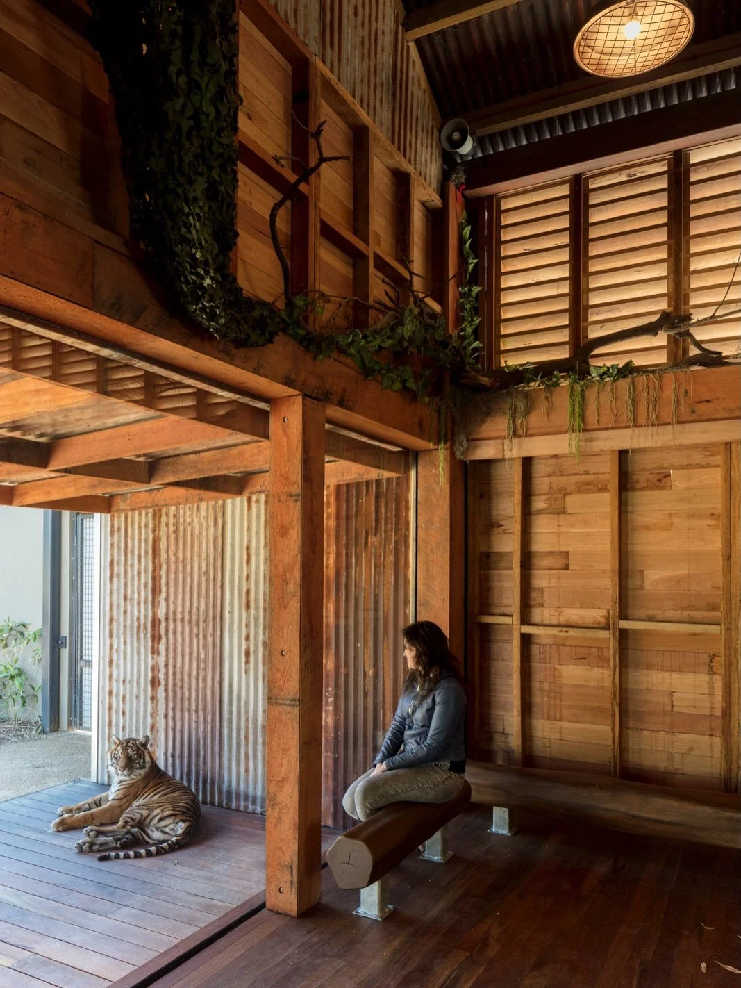 Located on Cammeraygal Land, Taronga Zoo&rsquo;s Sumatran Tiger Trek supports awareness of the critically endangered species through an immersive, educational experience.

The exhibit allows visitors to observe and interact with tigers in a setting r