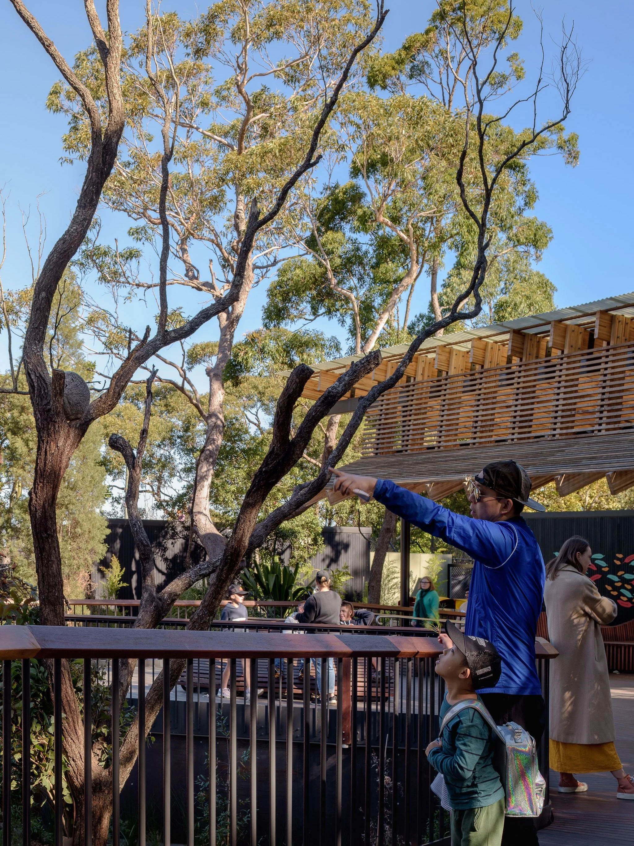 National Wildlife Day.

Located on Cammeraigal Country, our two projects at @tarongazoo remind us of the great work Zoos do to educate the public, and conserve and protect wildlife.

Nura Diya, meaning &ldquo;This Country&rdquo;, snakes through nativ