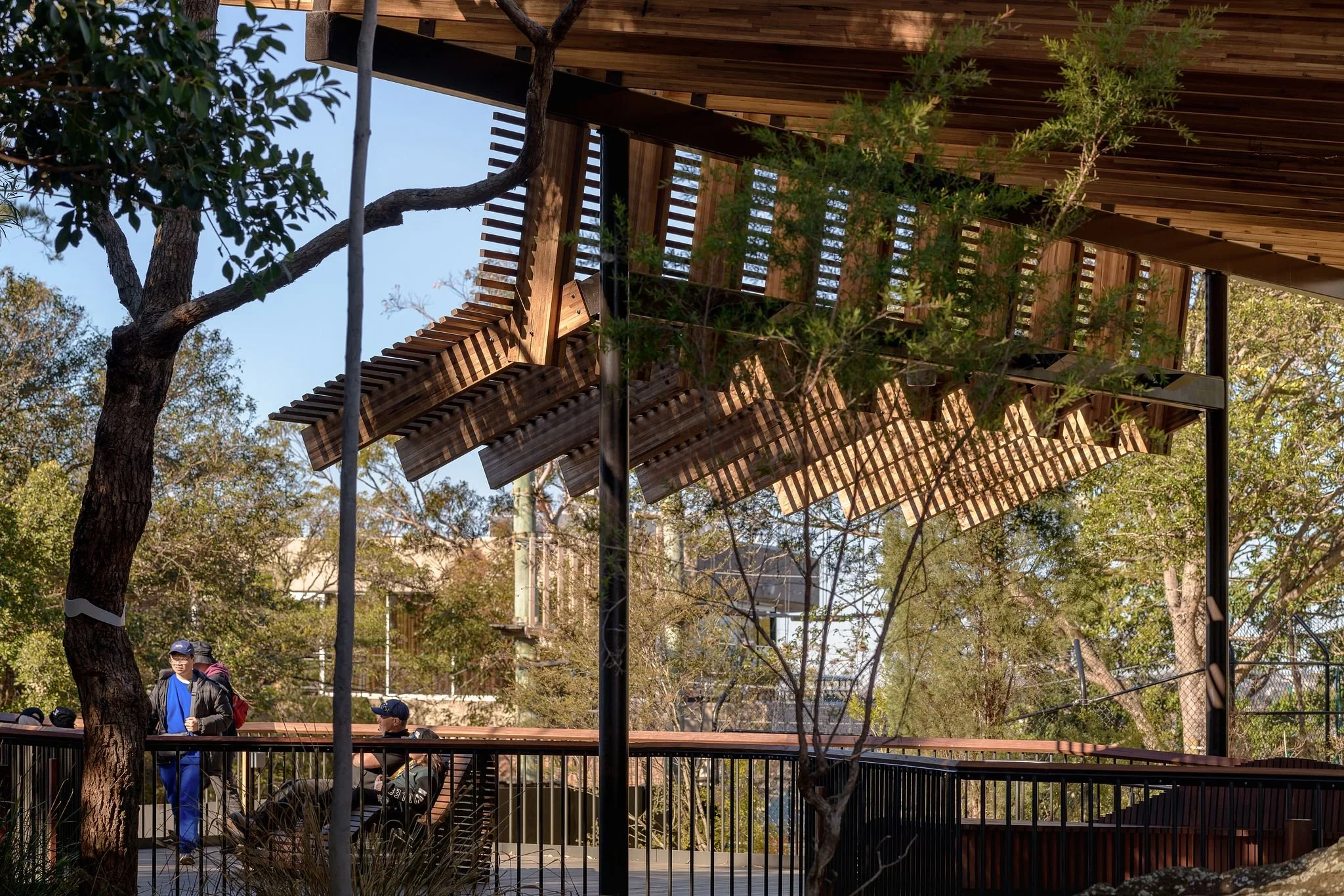 LahzNimmo_Taronga_Nura_Diya_050_Guthrie.jpg