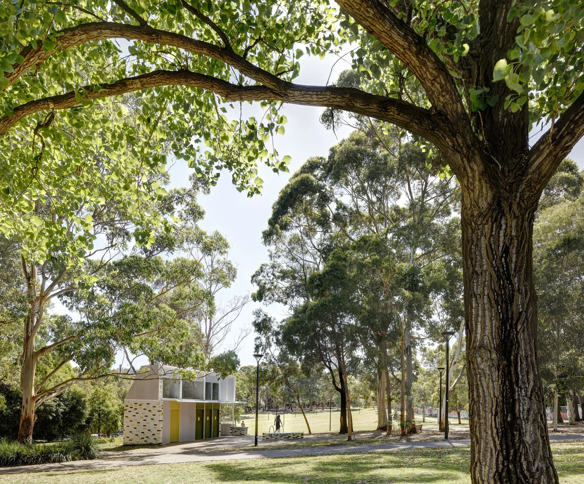 LahzNimmoArchitects_Camperdown_000005.JPG