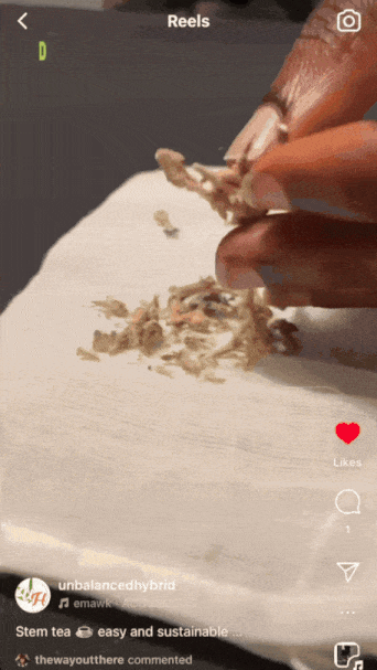 2+stem+tea.gif