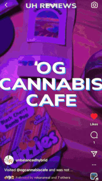1+og+cannabis+cafe.gif