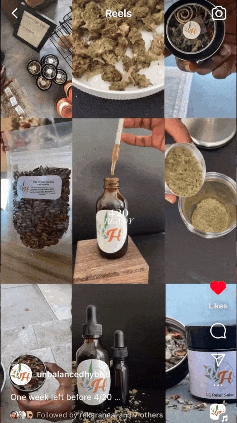 5+collage.gif