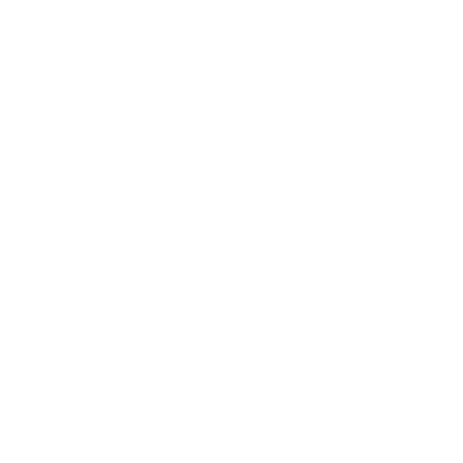 Delaney Media