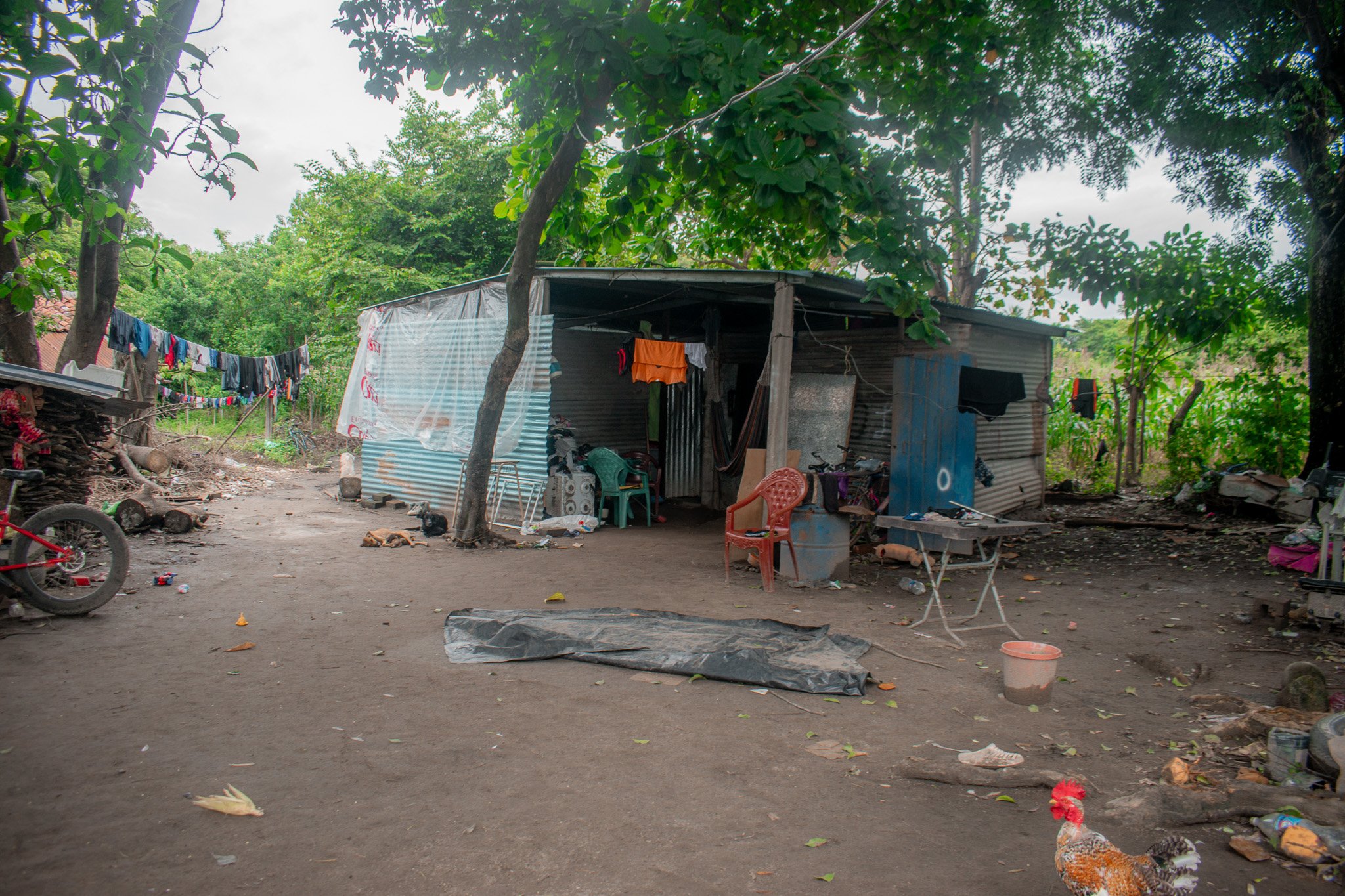 DSC_0065.jpg