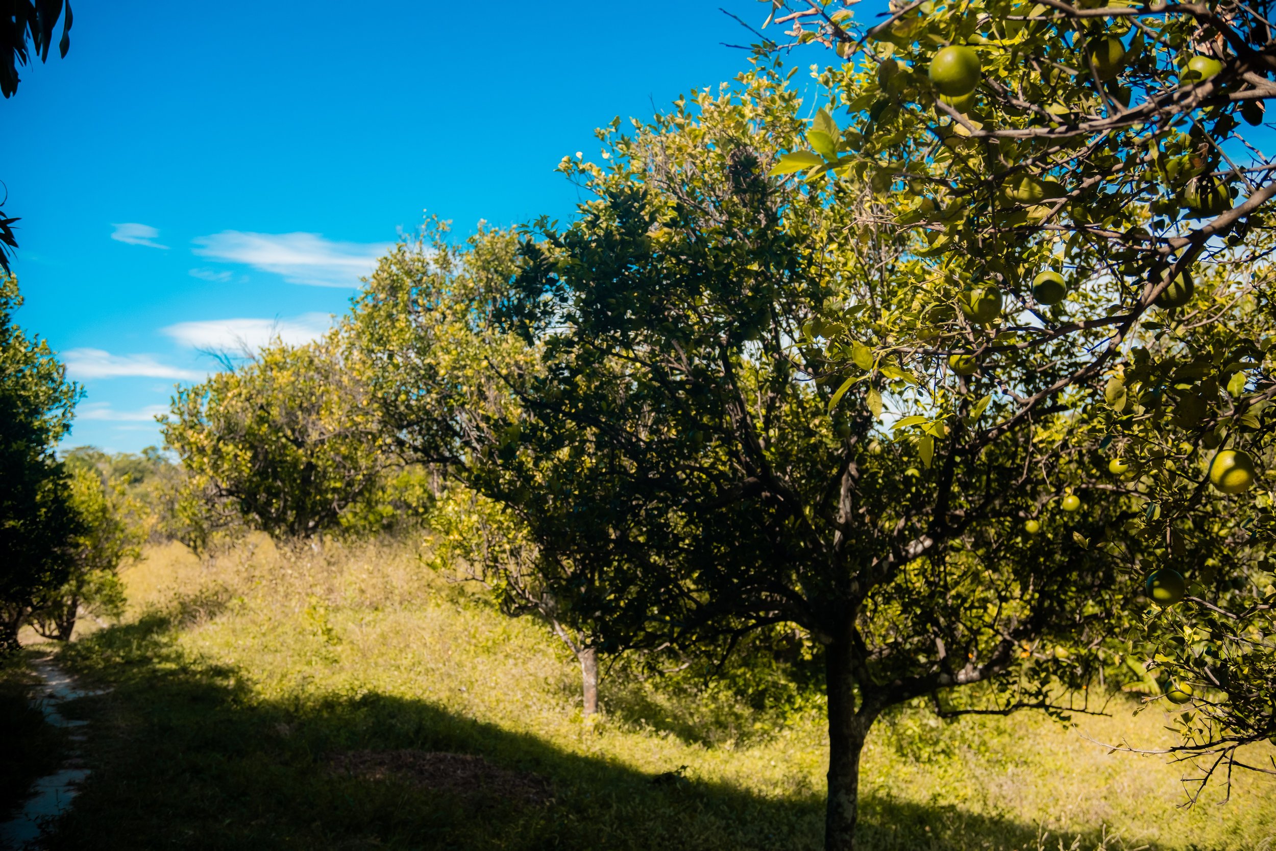 DSCF5364.jpg