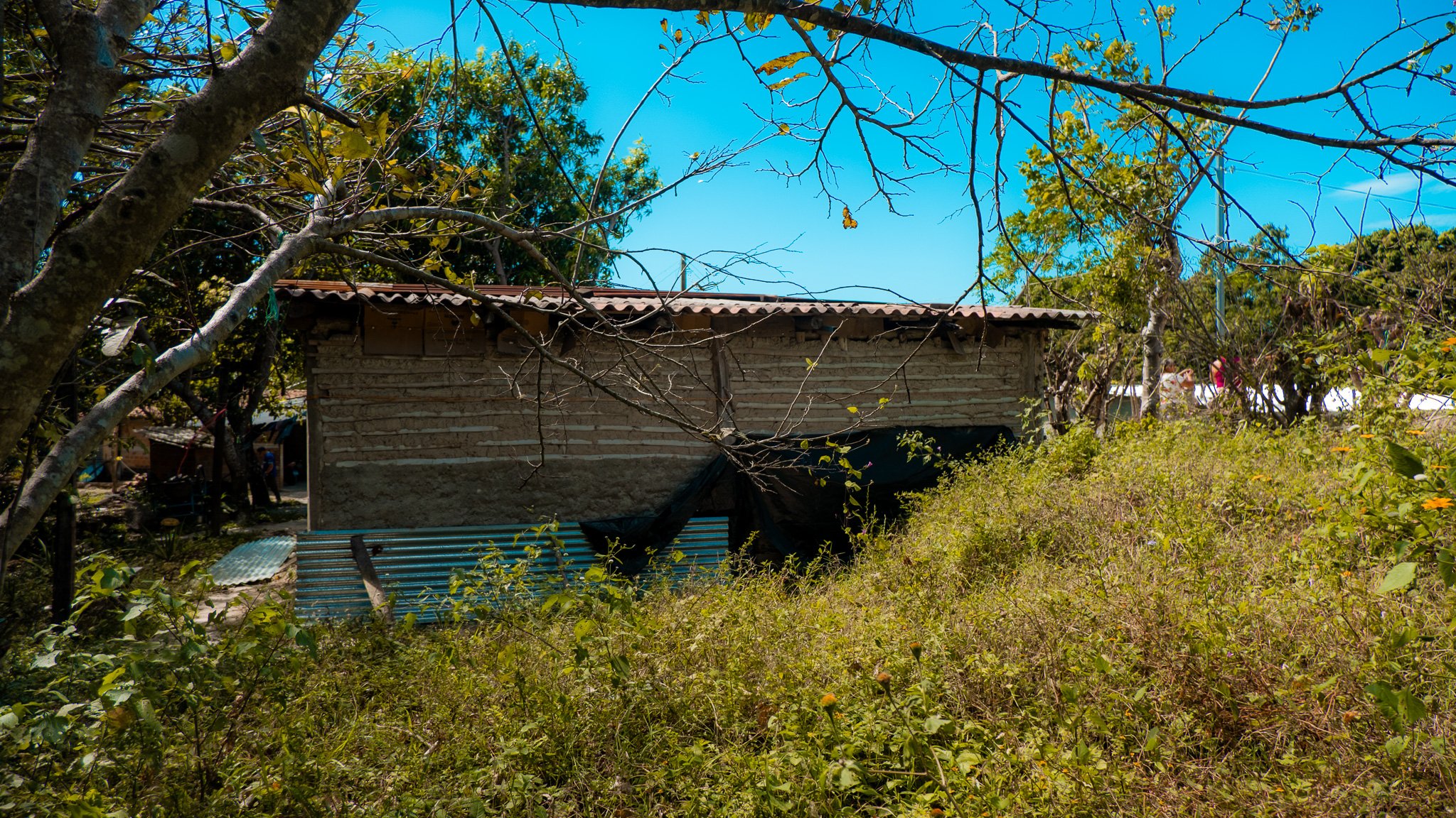 DSCF0064.jpg
