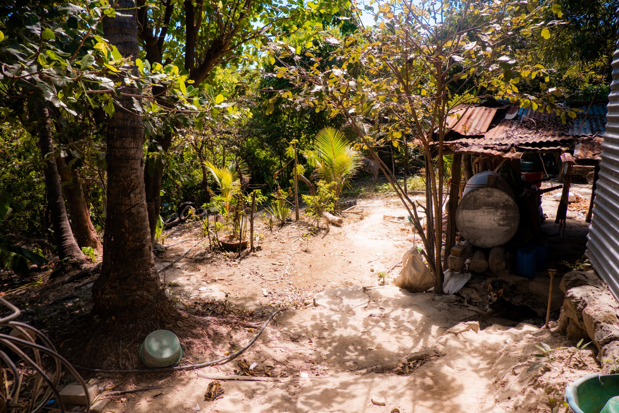 DSCF5390.jpg