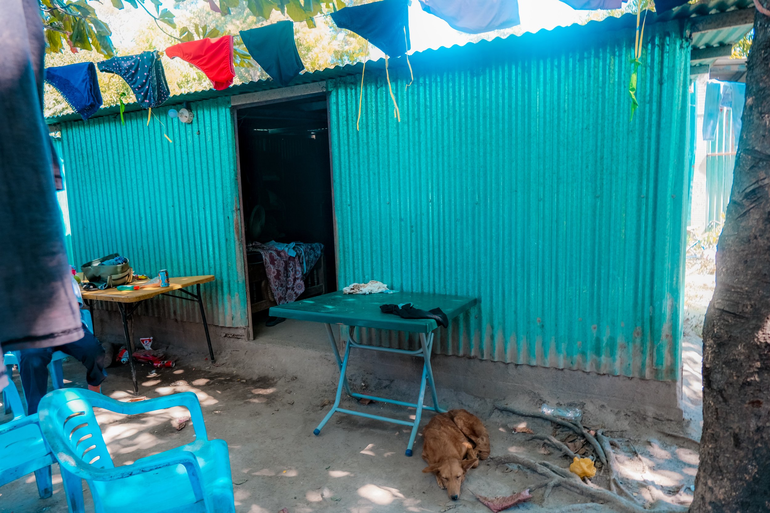 DSCF0115.jpg
