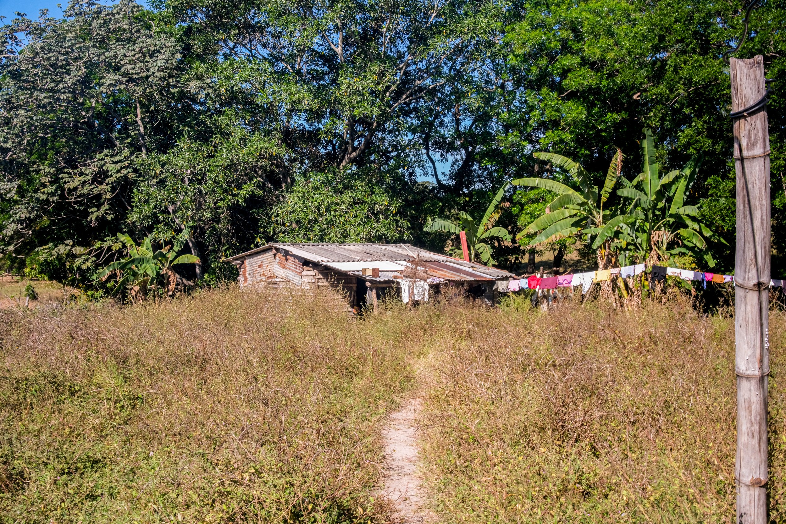 DSCF6669-2.jpg