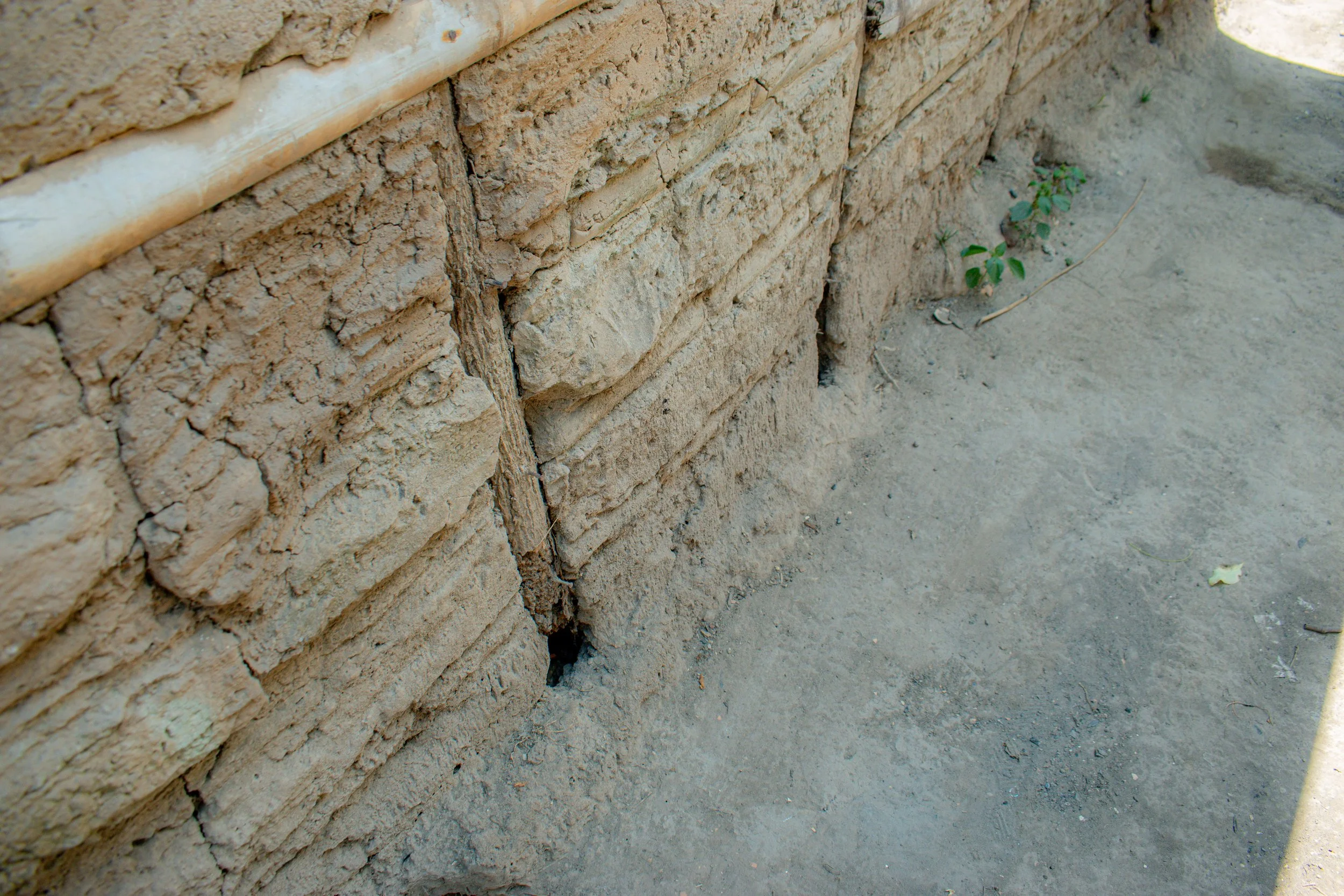 DSC_0136.jpg