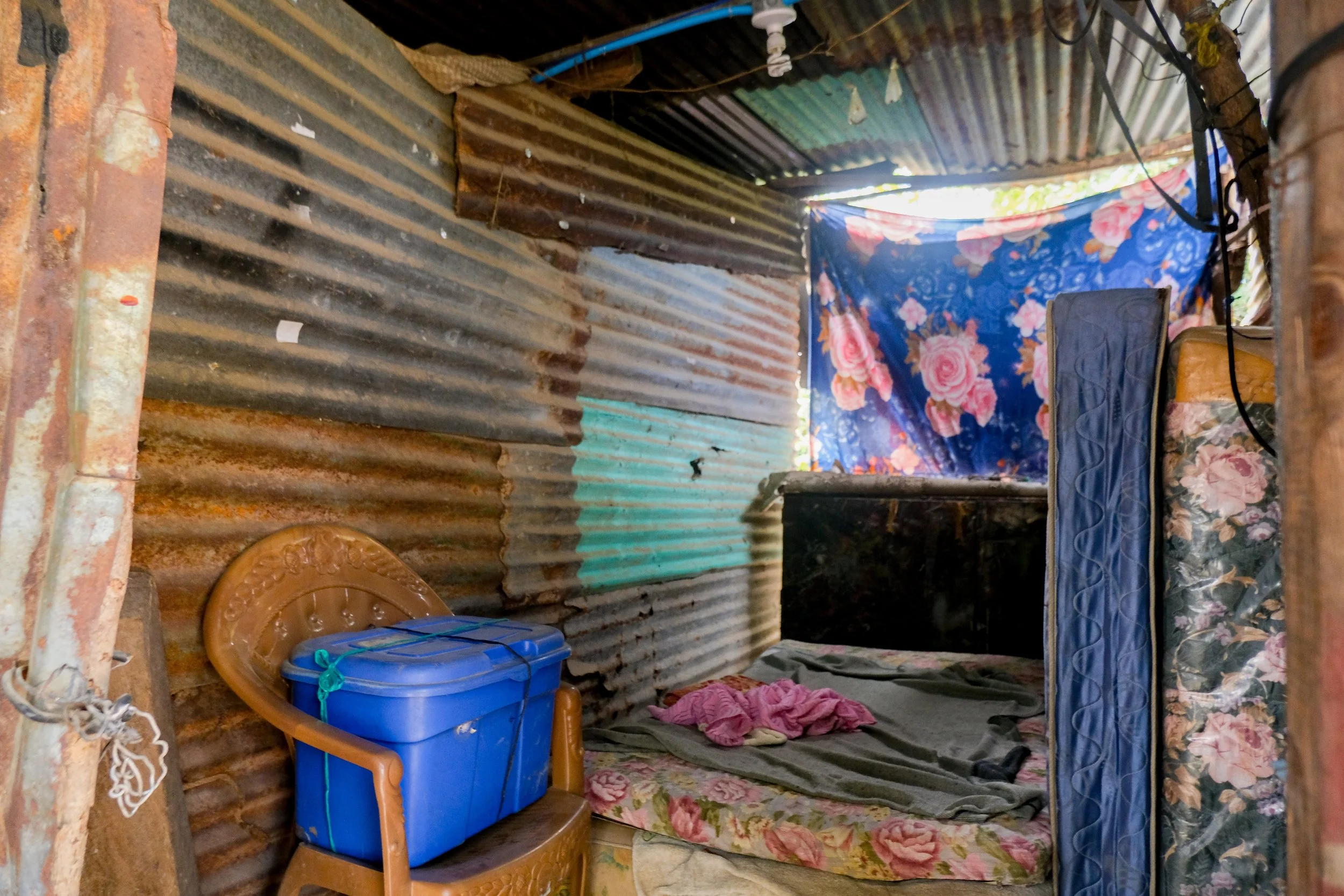 DSCF6916-2.jpg