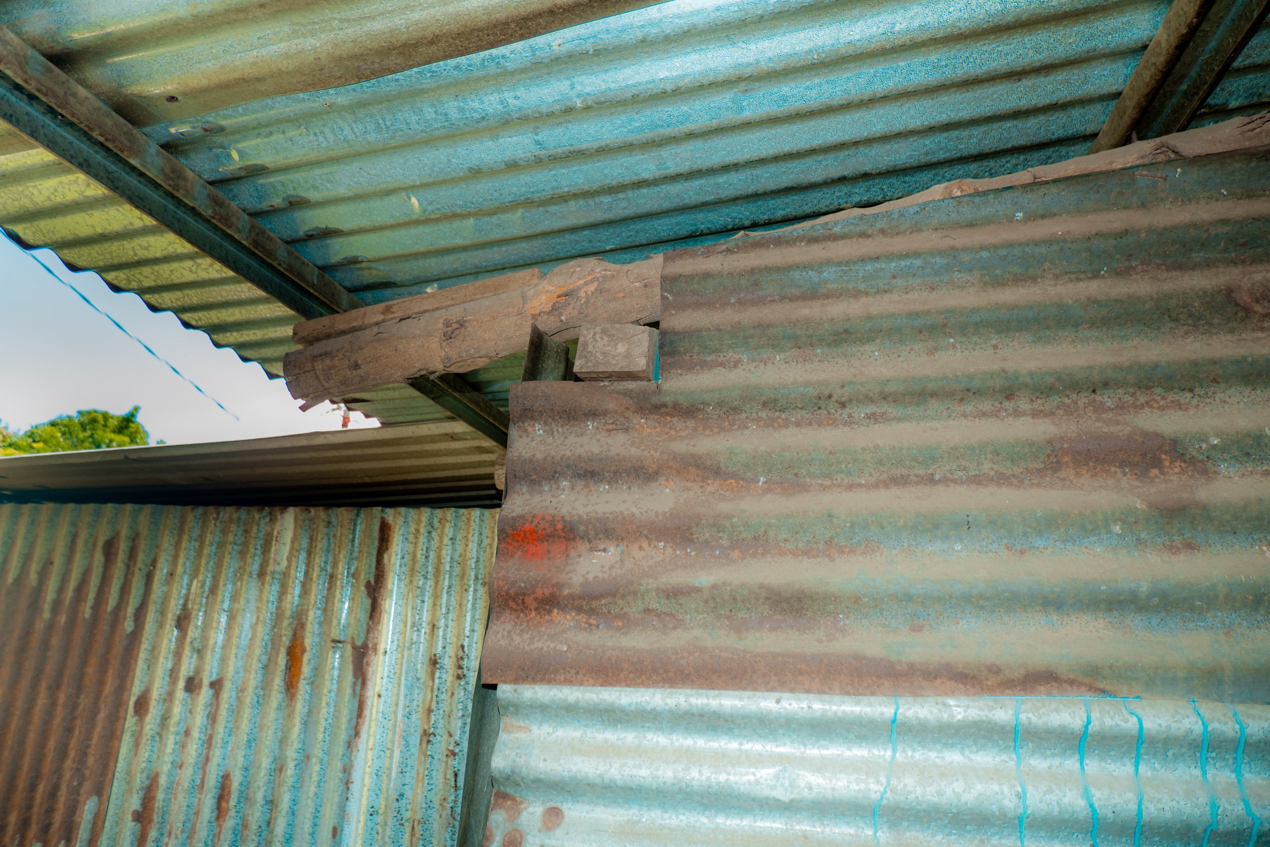 DSCF0141.jpg