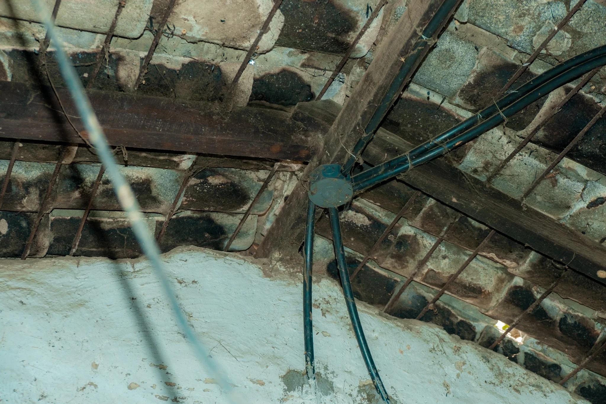 DSCF8841.jpg