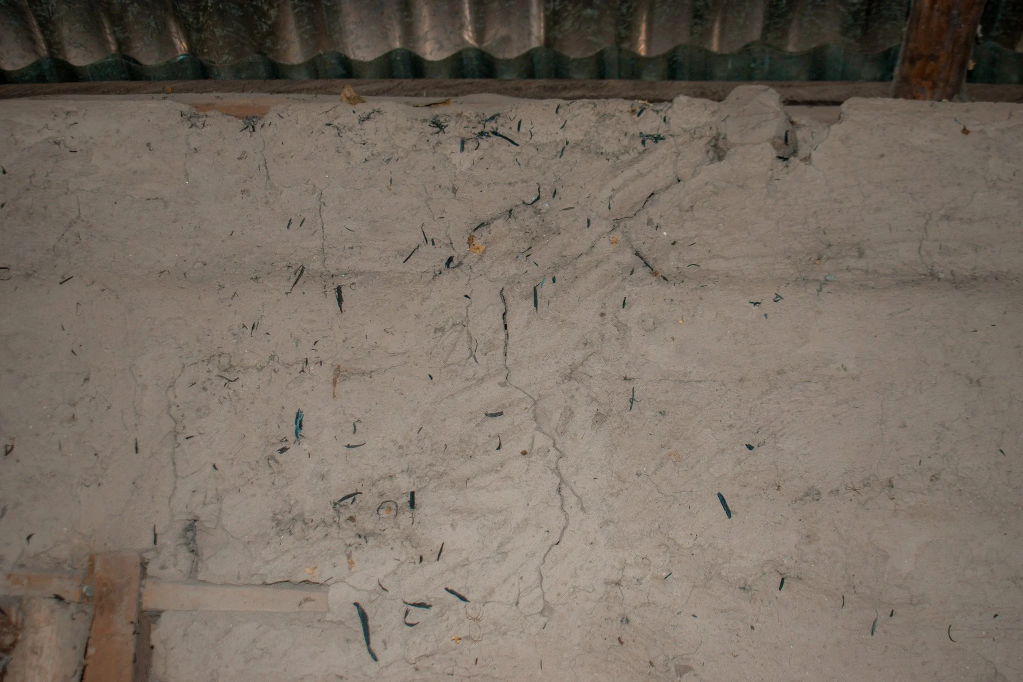 DSC_0049.jpg
