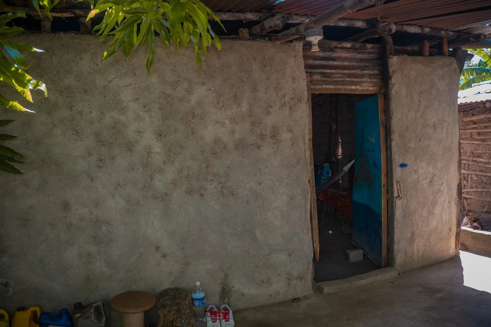 DSCF5332.jpg