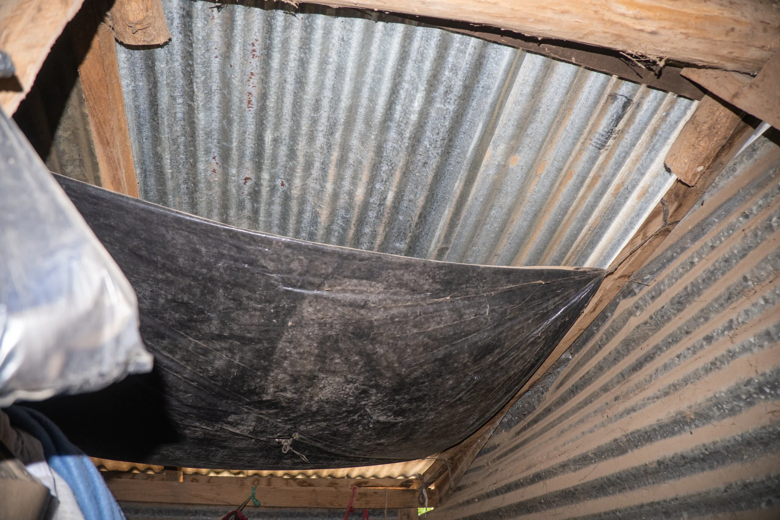 DSCF5776.jpg