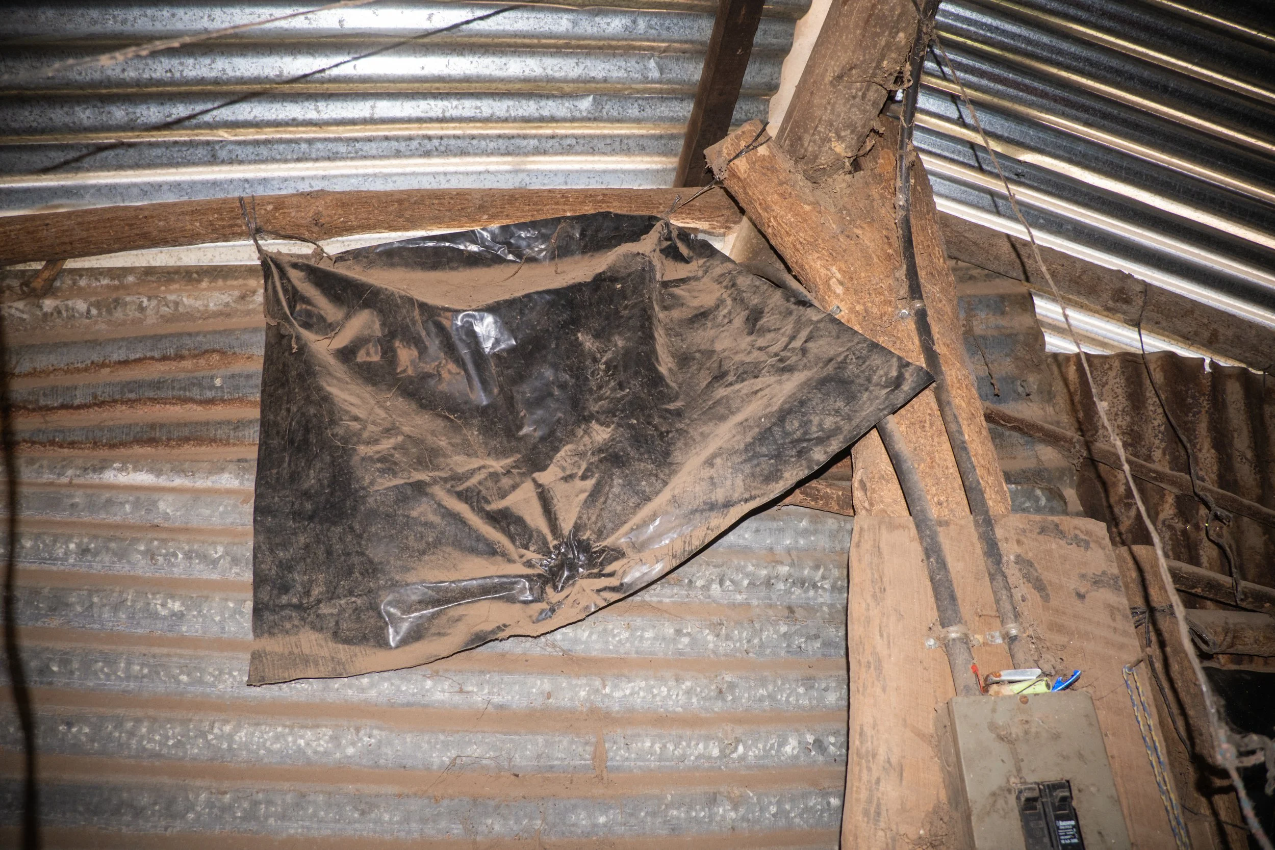 DSCF5777.jpg