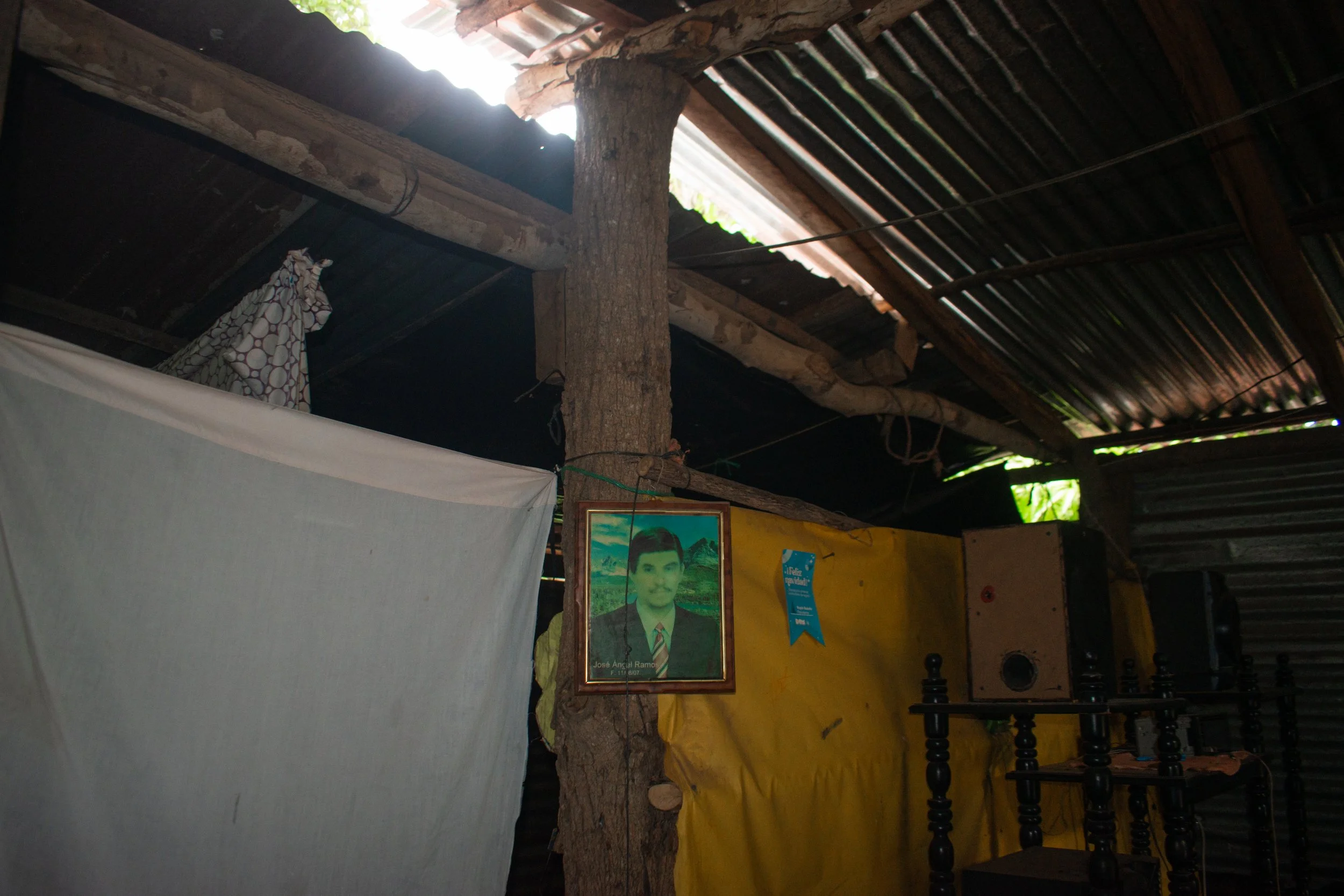DSC_0031.jpg