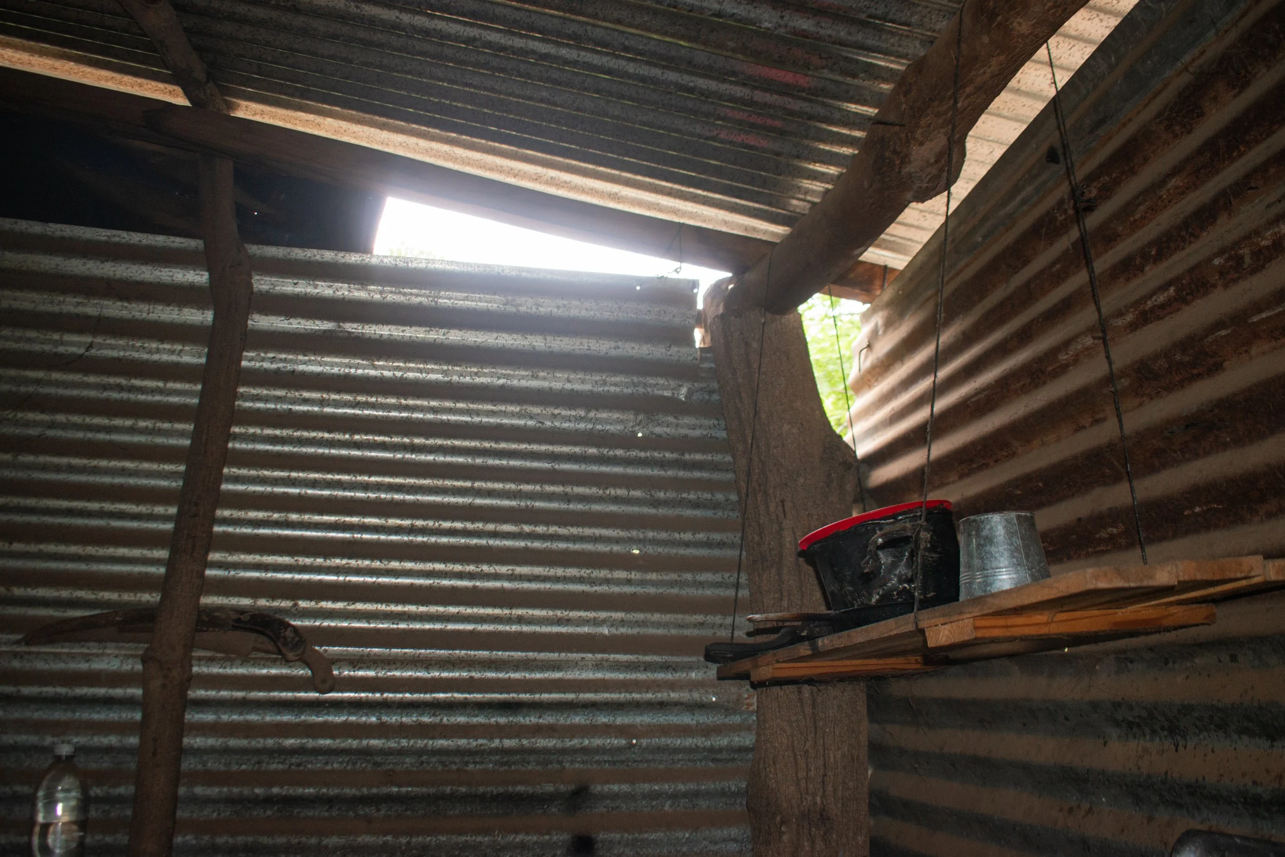DSC_0047.jpg