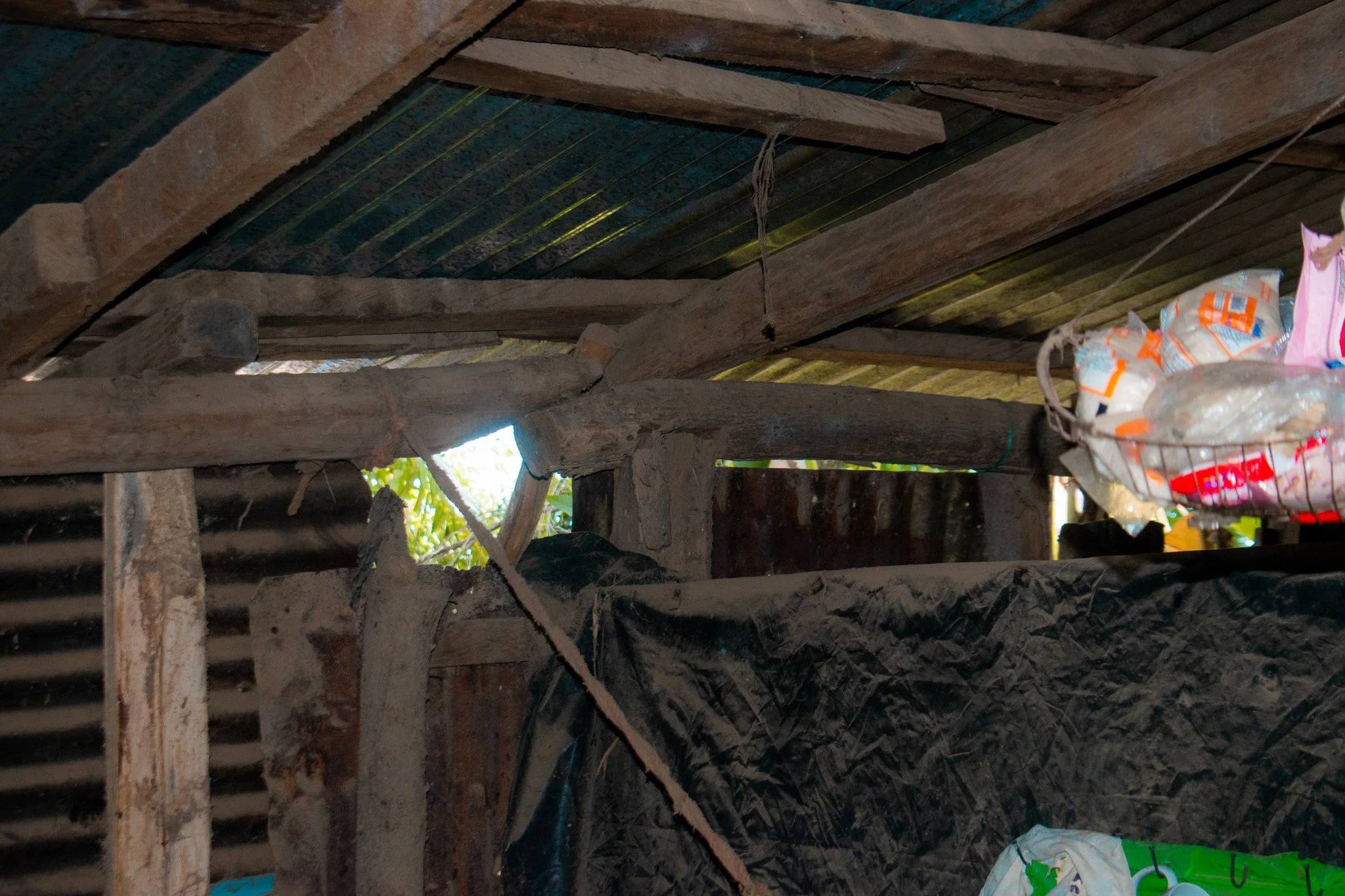 DSC_0112.jpg
