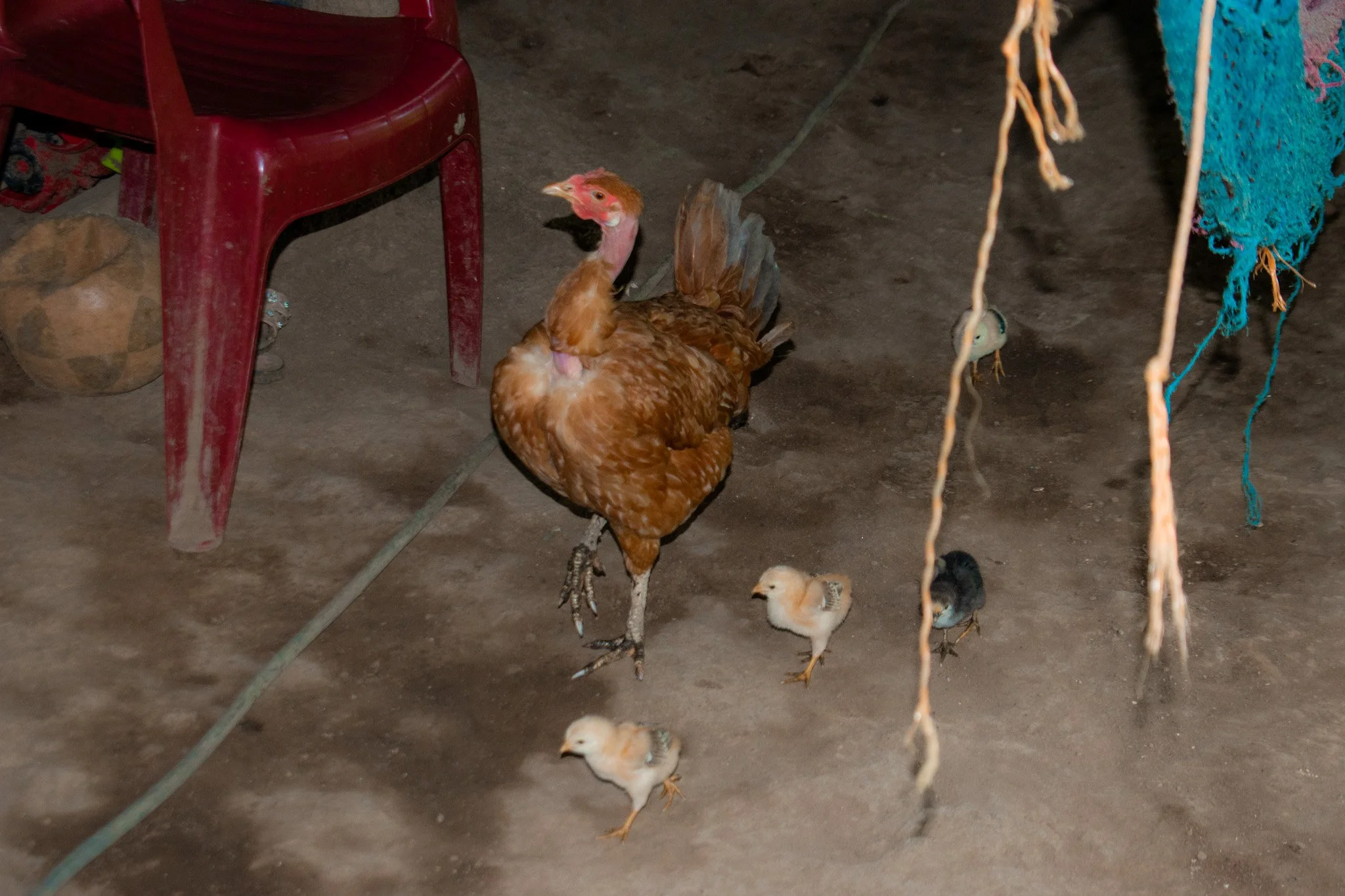 DSC_0162.jpg