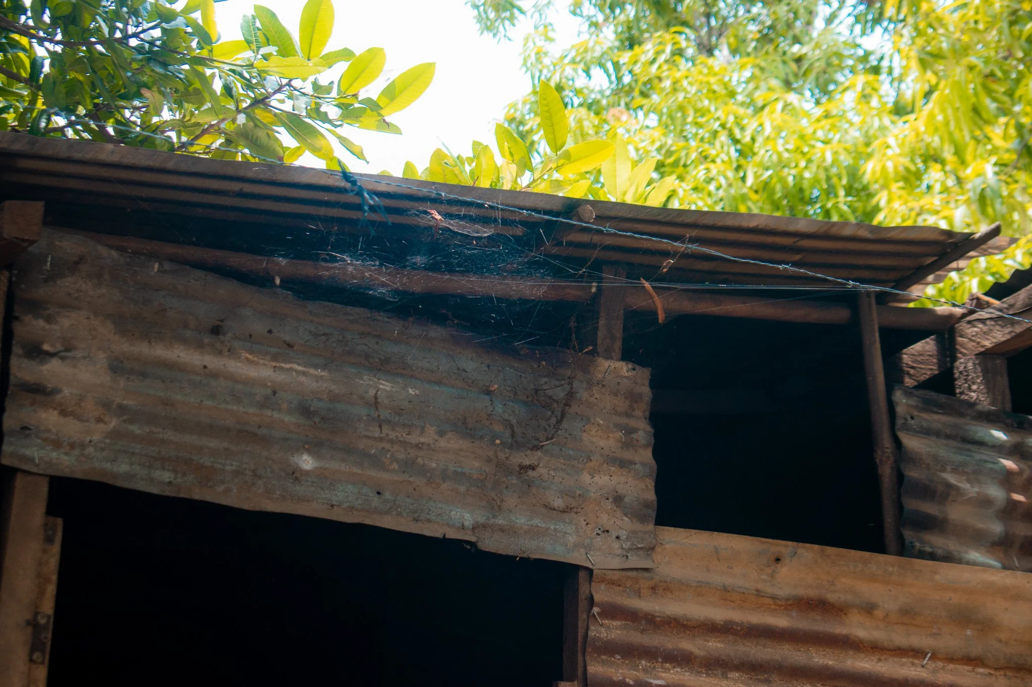 DSC_0330.jpg